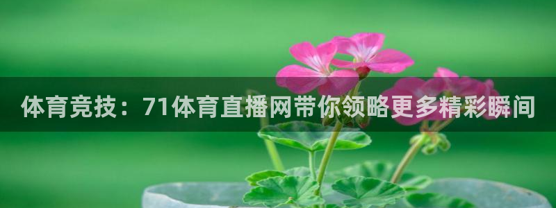 龙门直播nba免费直播入口：体育竞技：71体育直播网带你领略更多精彩瞬间