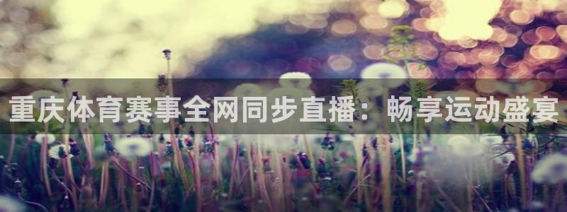 龙门直播：重庆体育赛事全网同步直播：畅享运动盛宴