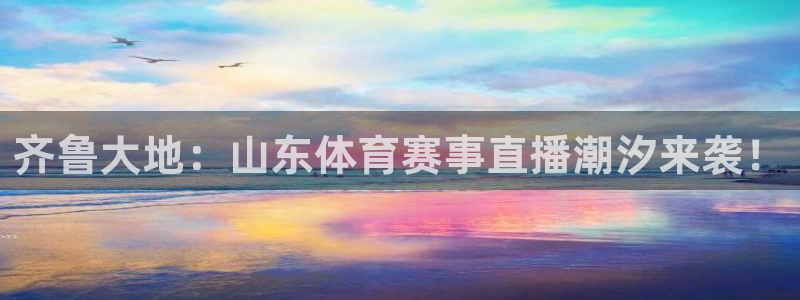 龙门直播nba免费直播下载：齐鲁大地：山东体育赛事直播潮汐来袭！