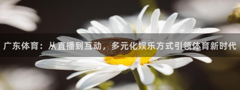 龙门直播下载官网：广东体育：从直播到互动，多元化娱乐方式引领体育新时代