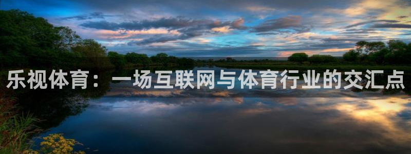 龙门体育直播：乐视体育：一场互联网与体育行业的交汇点