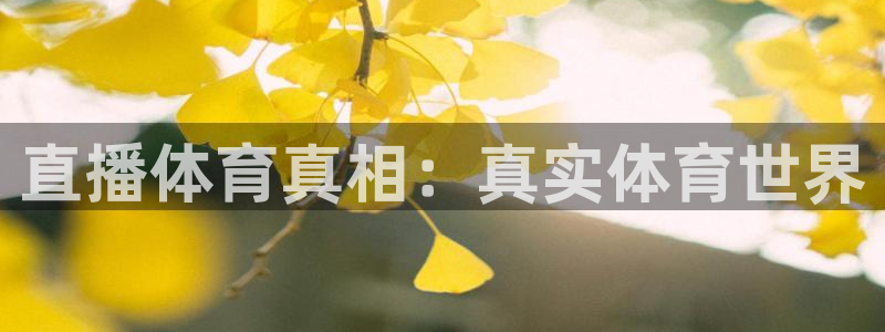 nba龙门直播：直播体育真相：真实体育世界