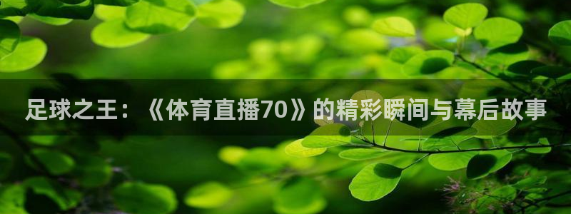 下载龙门直播：足球之王：《体育直播70》的精彩瞬间与幕后故事