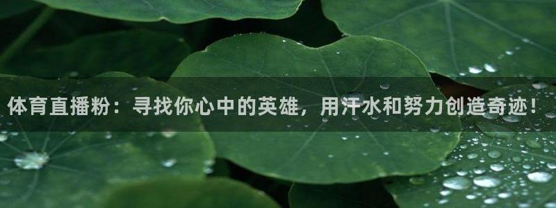 龙门直播官网下载：体育直播粉：寻找你心中的英雄，用汗水和努力创造奇迹！