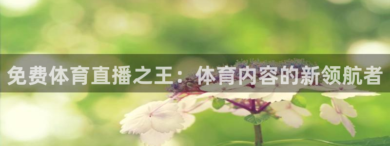龙门nba免费直播：免费体育直播之王：体育内容的新领航者