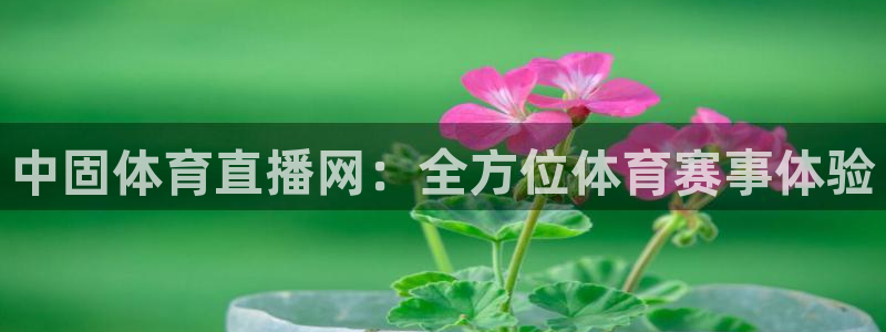 龙门直播nba免费直播在线观看：中固体育直播网：全方位体育赛事体验