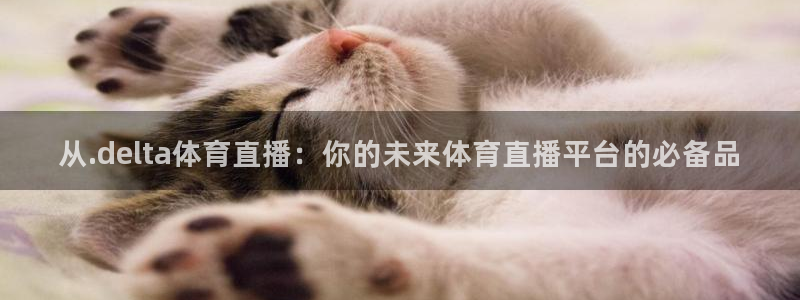 龙门飞甲粤语在线看