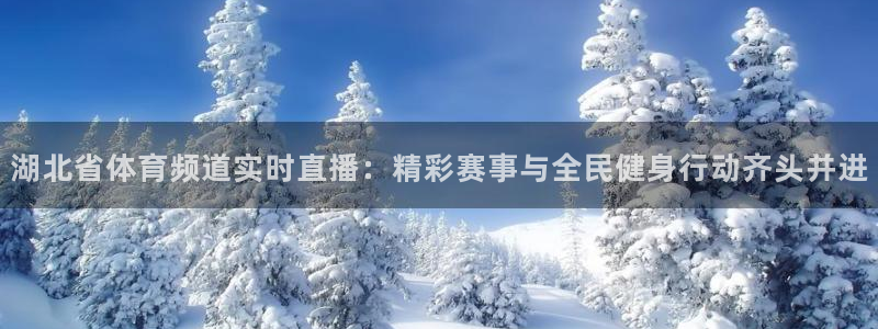 龙门nba免费直播：湖北省体育频道实时直播：精彩赛事与全民健身行动齐头并进