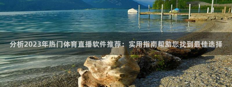 龙门飞甲哪个平台可以看：分析2023年热门体育直播软件推荐：实用指南帮助您找到最佳选择