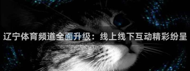 龙门直播间：辽宁体育频道全面升级：线上线下互动精彩纷呈